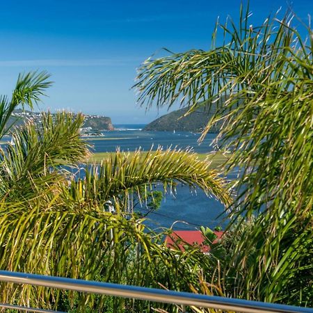 Guest House The Lazy Lion Knysna Exteriér fotografie