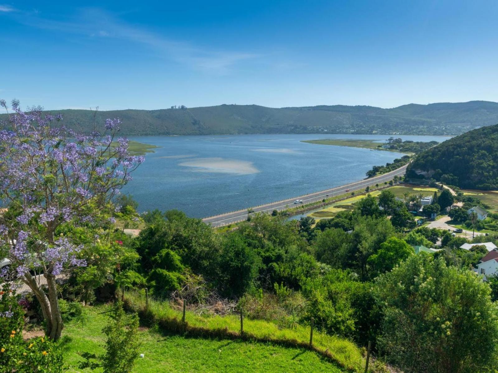 Guest House The Lazy Lion Knysna Exteriér fotografie